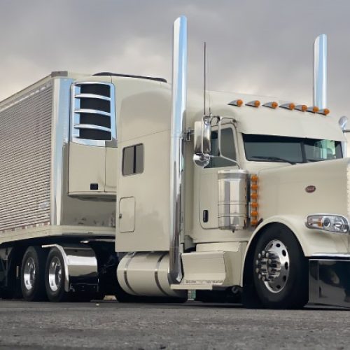 WhatsApp Image 2025-01-18 at 3.14.31 AM(2)